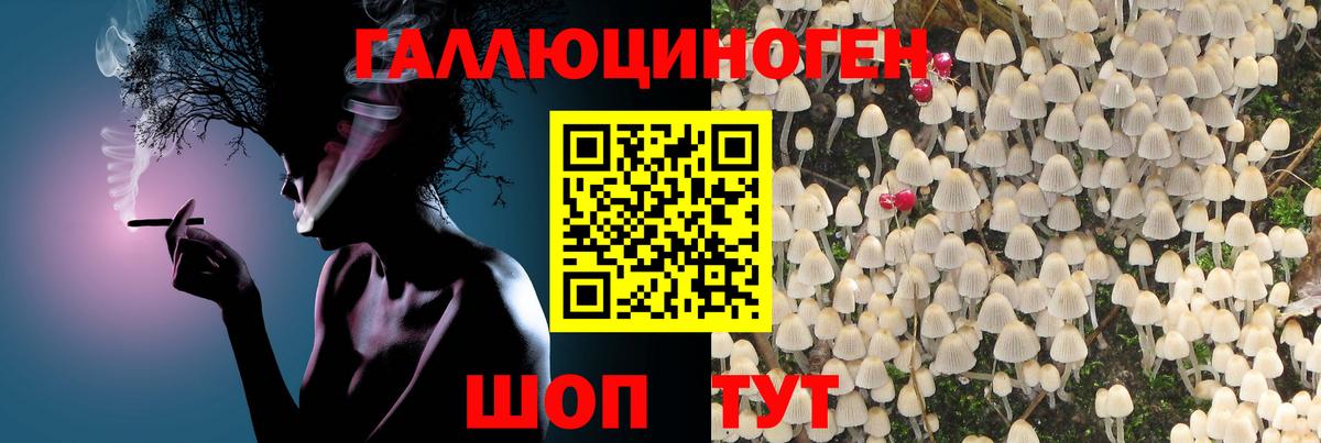 закладка  Вход с VPN  Псилоцибиновые грибы ЛСД  Братск  Псилоцибиновые грибы Psilocybe 